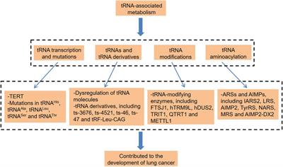 tRNA Metabolism and Lung Cancer: Beyond Translation